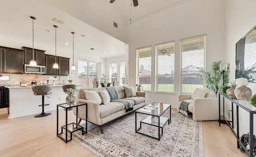House in Frisco, Texas, United States 1