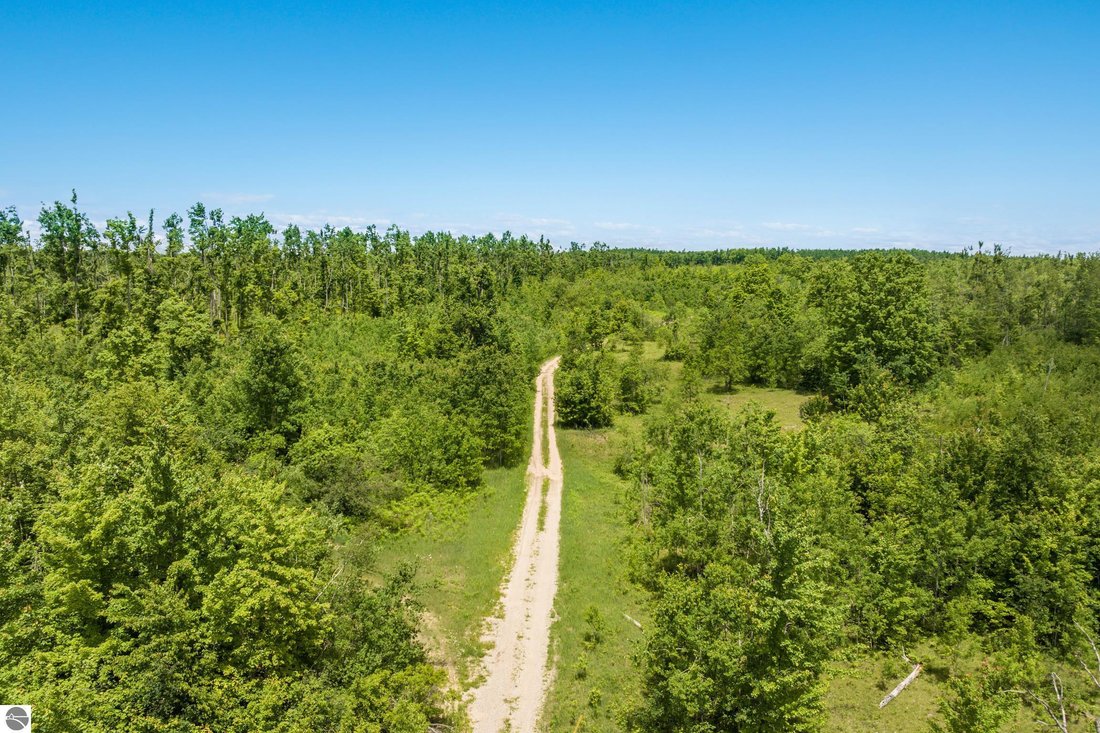 Land in Lakes of the North, Michigan, Vereinigte Staaten 5 - 18274899