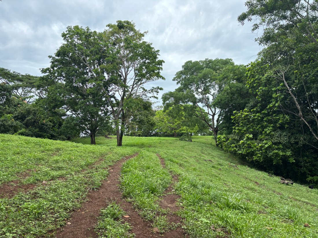 Farm Ranch in Turrubares, Turrubares, Costa Rica 2 - 18274666