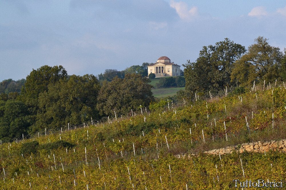 Villa in Lonigo, Veneto, Italy 4 - 18275662