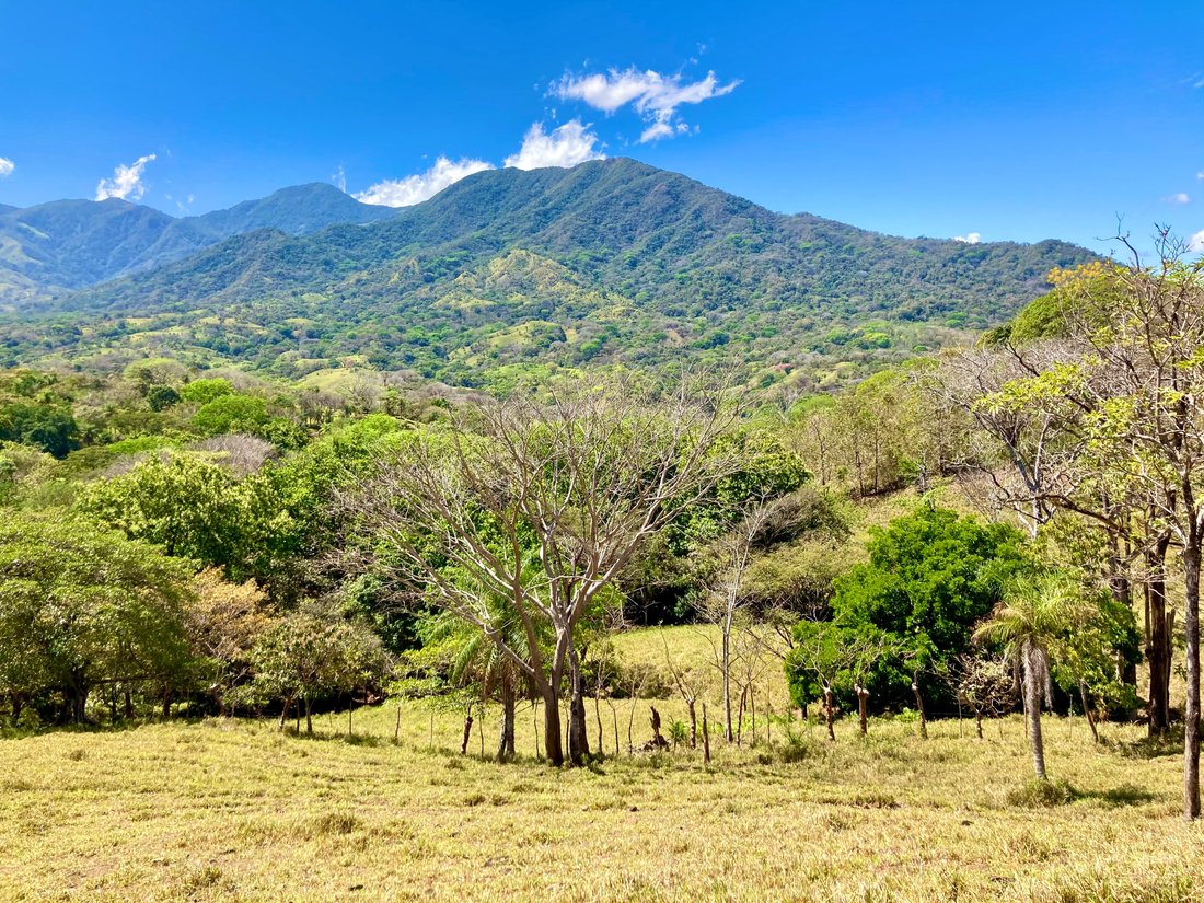 Farm Ranch in Turrubares, Turrubares, Costa Rica 1 - 18274666