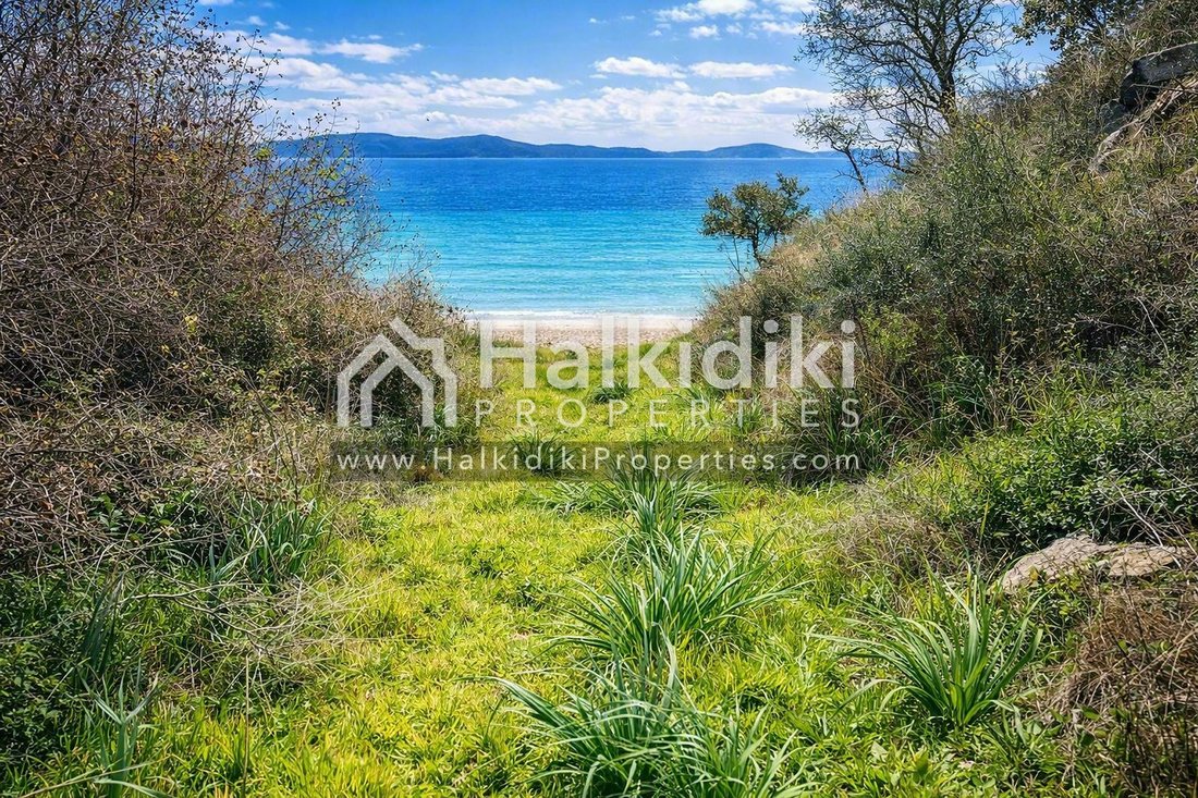 Land in Aristotle, Macedonia and Thrace, Greece 1 - 18203170