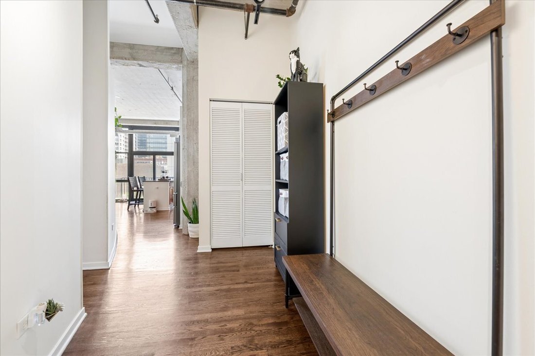 Condo in Chicago, Illinois, United States 3 - 18270649