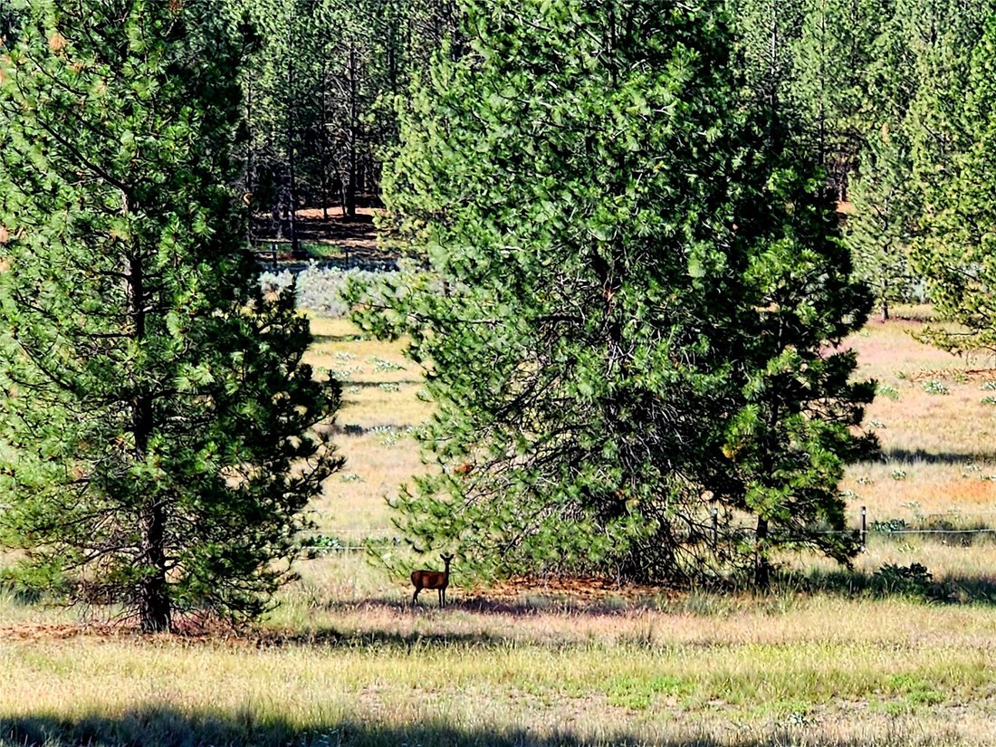 House in Florence, Montana, United States 5 - 17083039