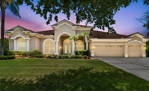 House in Tampa, Florida, United States 1