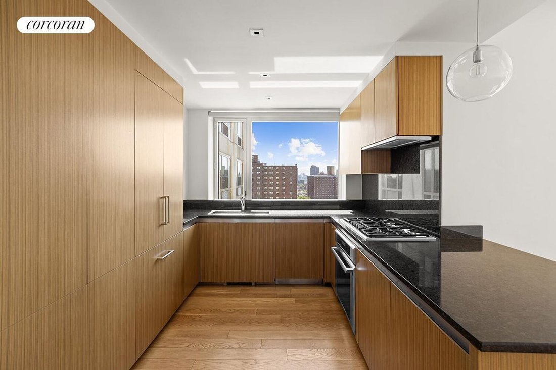 Condo in New York, New York, United States 4 - 18272699
