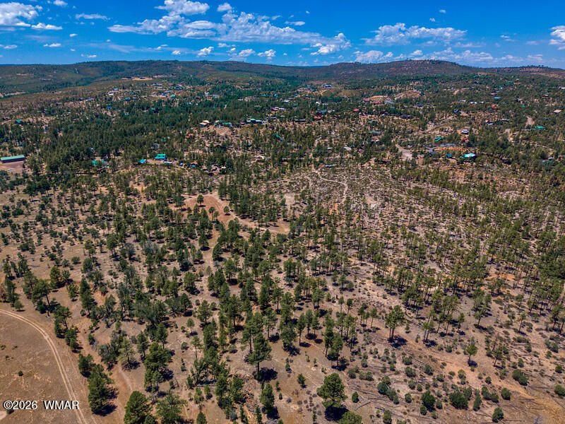 Land in Show Low, Arizona, United States 4 - 18276200
