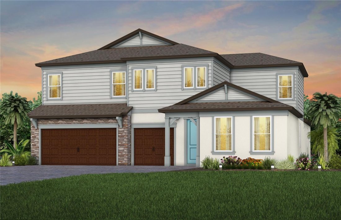 House in Wesley Chapel, Florida, United States 1 - 18273635