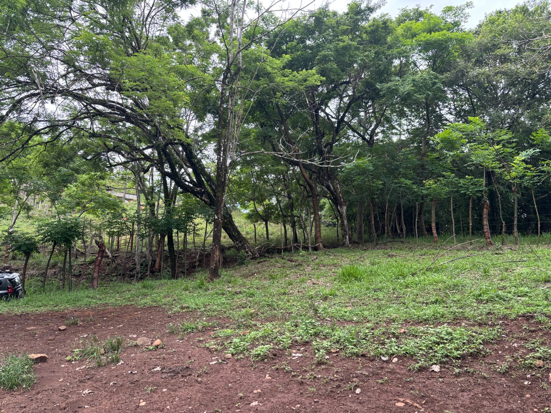 Farm Ranch in Turrubares, Turrubares, Costa Rica 4 - 18274666