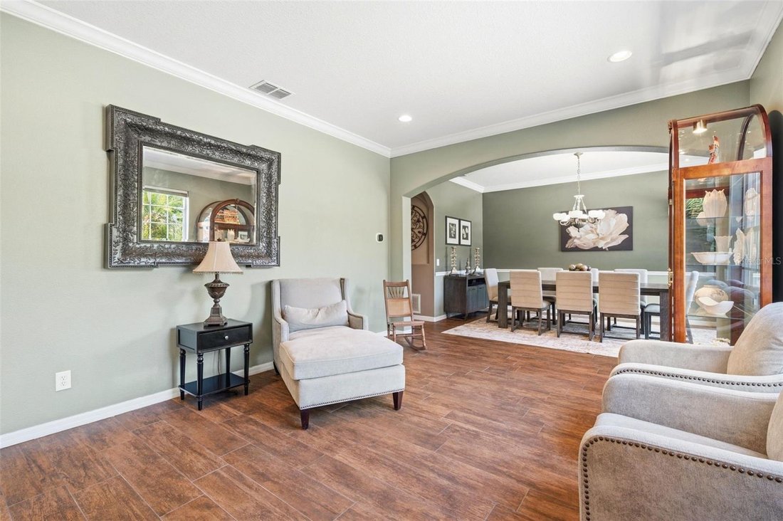 House in Wesley Chapel, Florida, United States 5 - 18273616