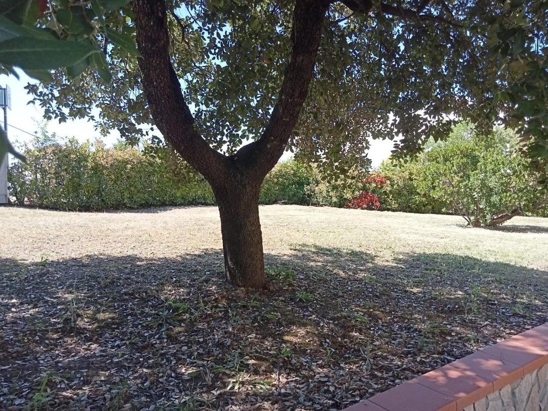 Villa in Historic Center, Empoli, Tuscany 3 - 18273316