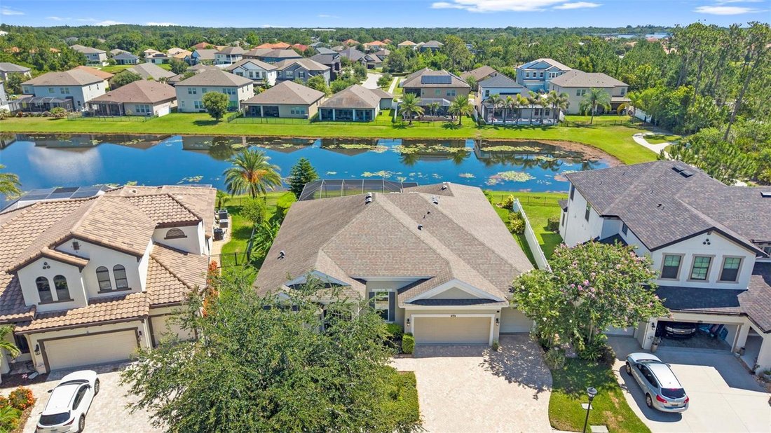 House in Riverview, Florida, United States 2 - 18273664