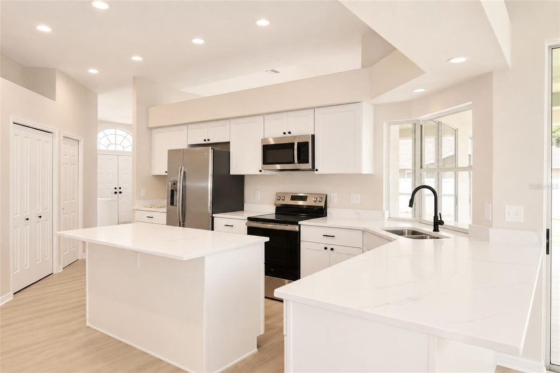 House in Odessa, Florida, United States 5 - 17958027