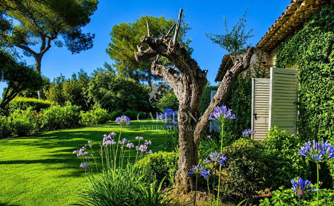 Estate in Saint-Paul-de-Vence, Provence-Alpes-Côte d'Azur, France 3 - 17342815
