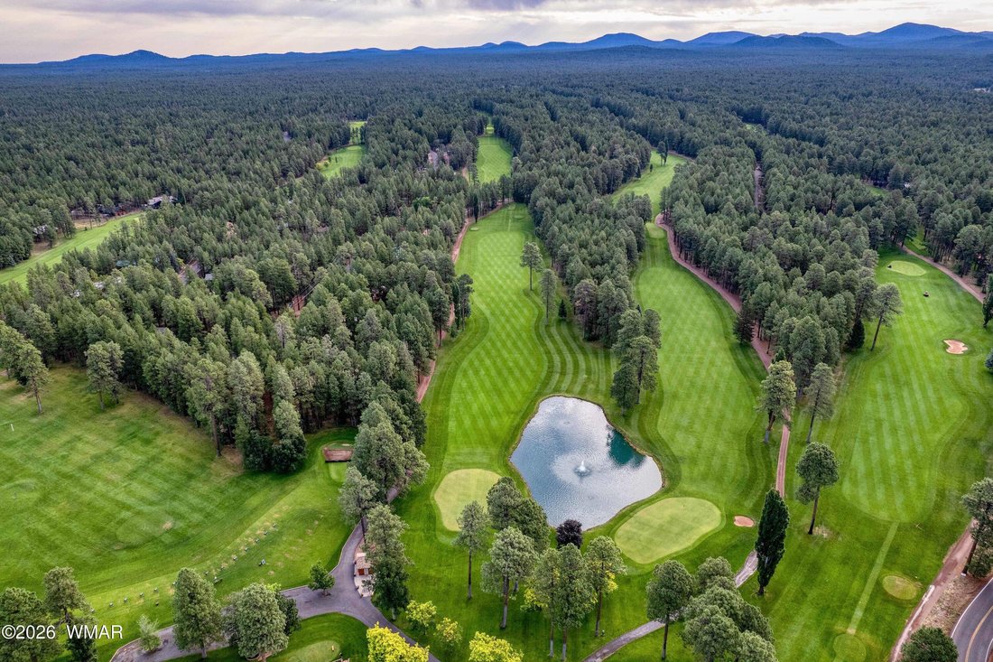 Pinetop, Arizona, United States 4 - 18273601