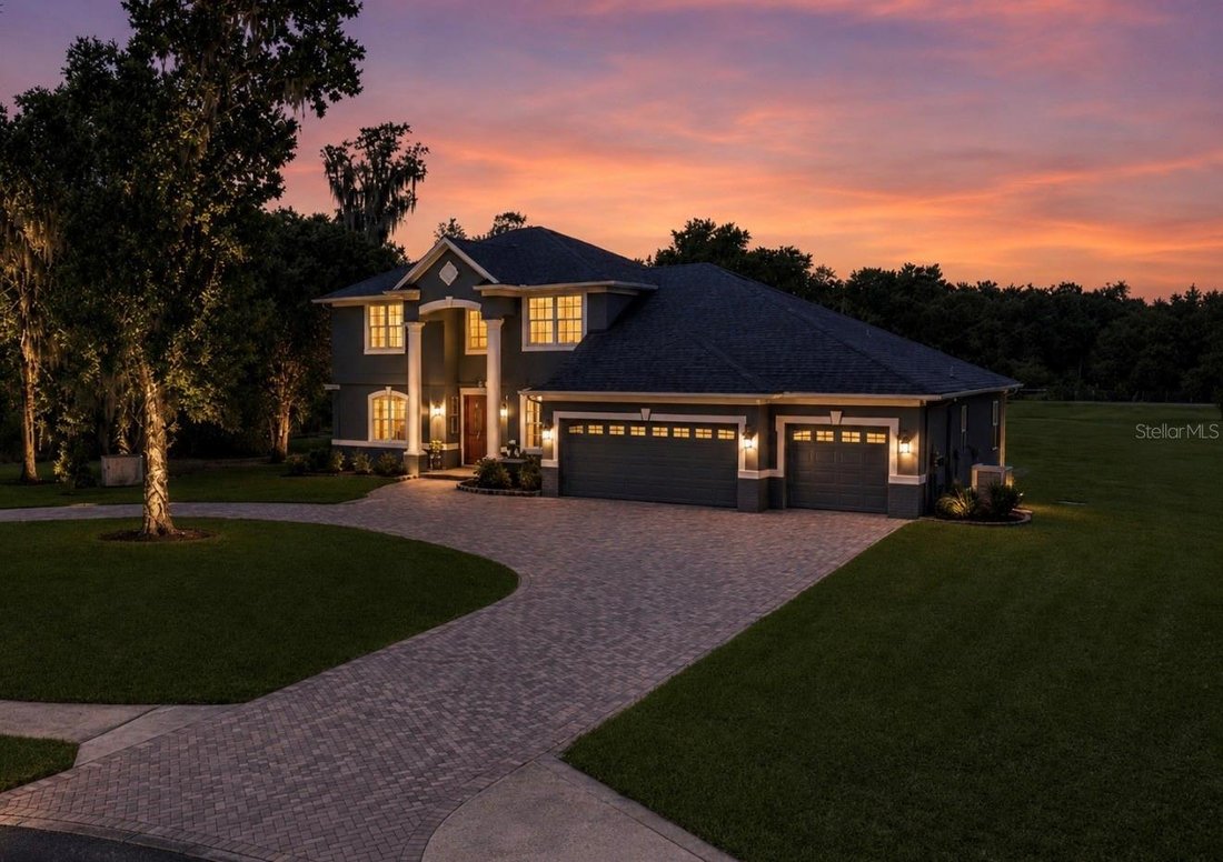 House in Lithia, Florida, United States 1 - 18270324