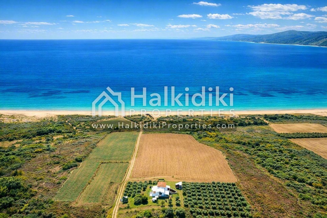 Land in Aristotle, Macedonia and Thrace, Greece 1 - 18203087