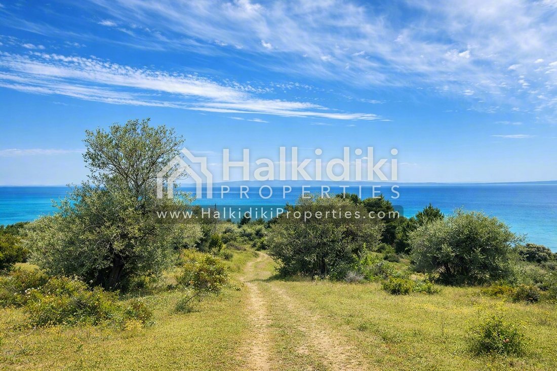 Land in Polygyros, Macedonia and Thrace, Greece 1 - 12034510