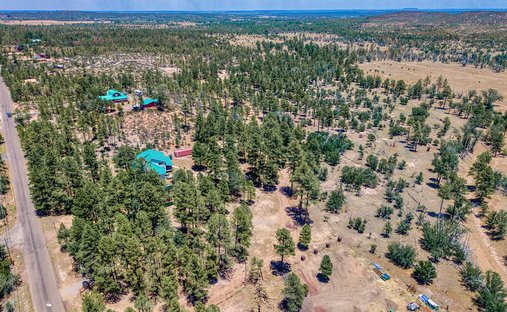 Land in Show Low, Arizona, United States 1