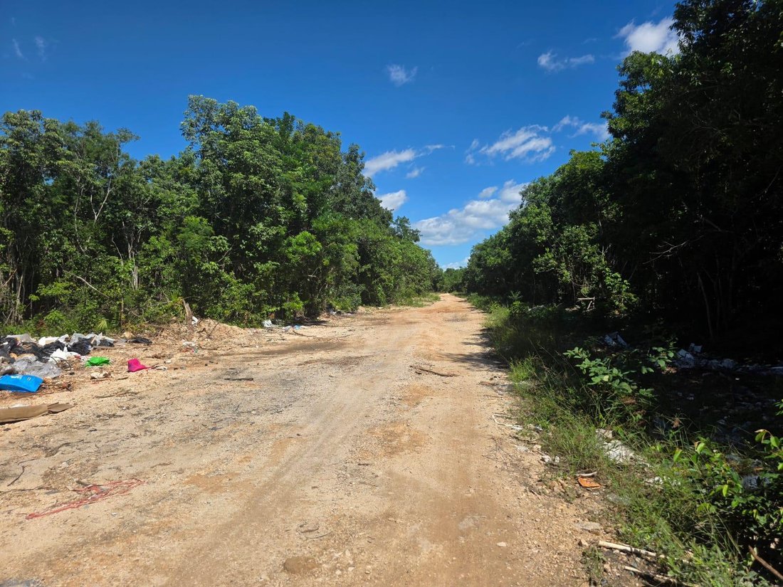 Land in Cancún, Quintana Roo, Mexico 3 - 18272335