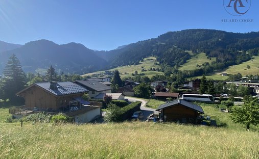 Land in Praz-sur-Arly, Auvergne-Rhône-Alpes, France 1