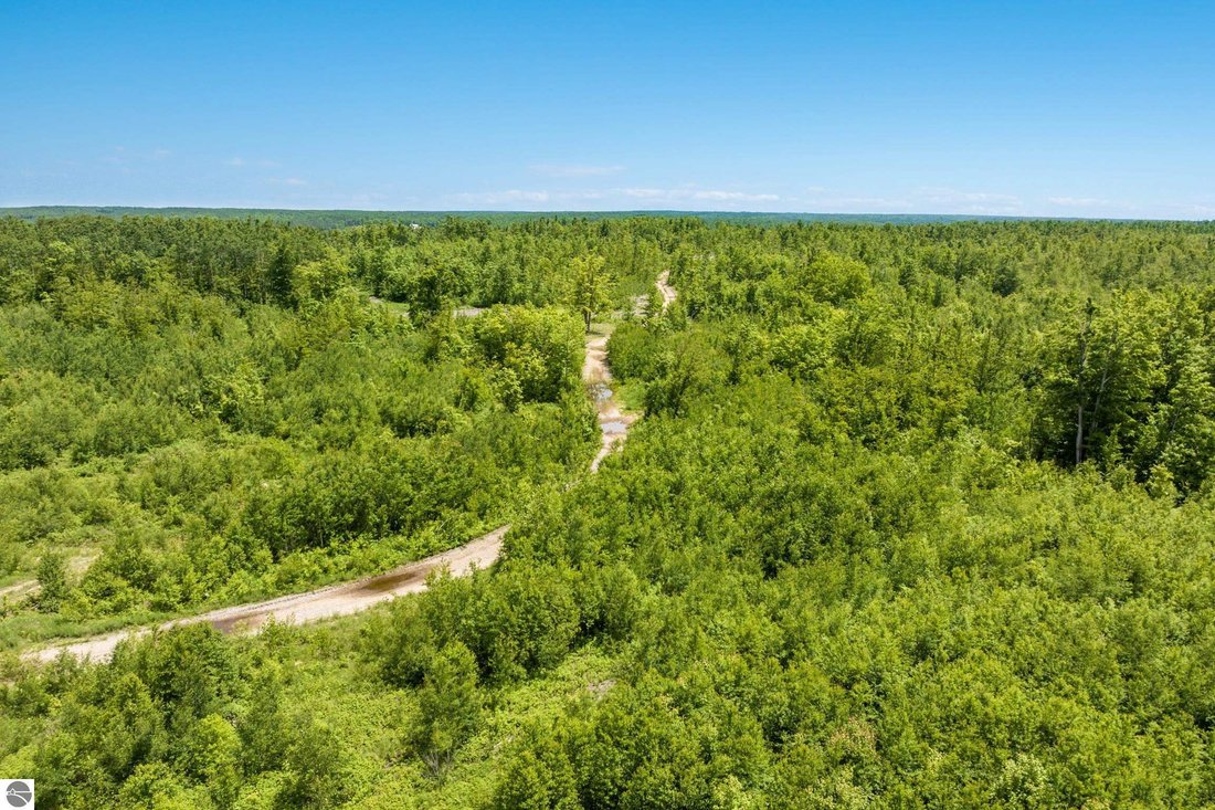 Land in Lakes of the North, Michigan, Vereinigte Staaten 4 - 18274899