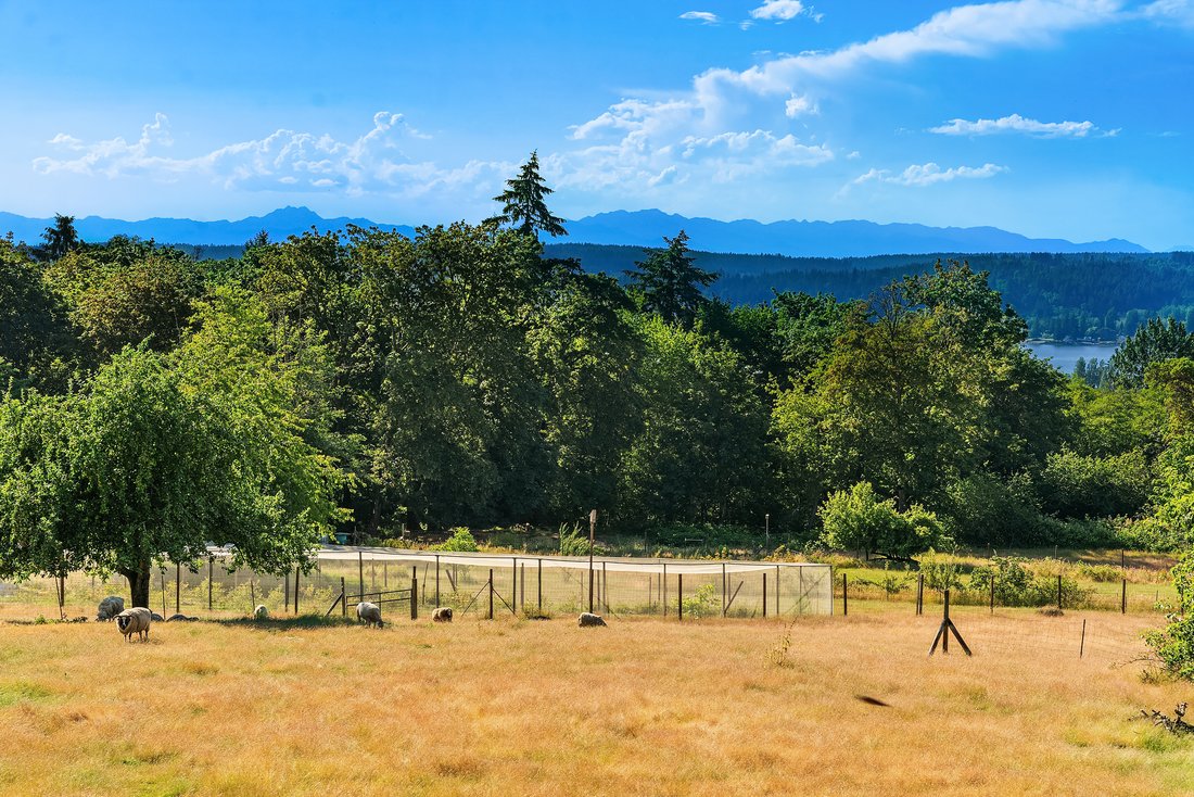 House in Vashon, Washington, United States 4 - 18272586