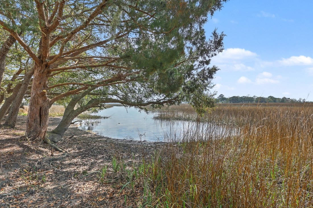 Land in Johns Island, South Carolina, United States 1 - 18276353