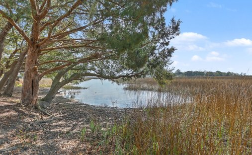 Terreno a Johns Island, Carolina del Sud, Stati Uniti 1