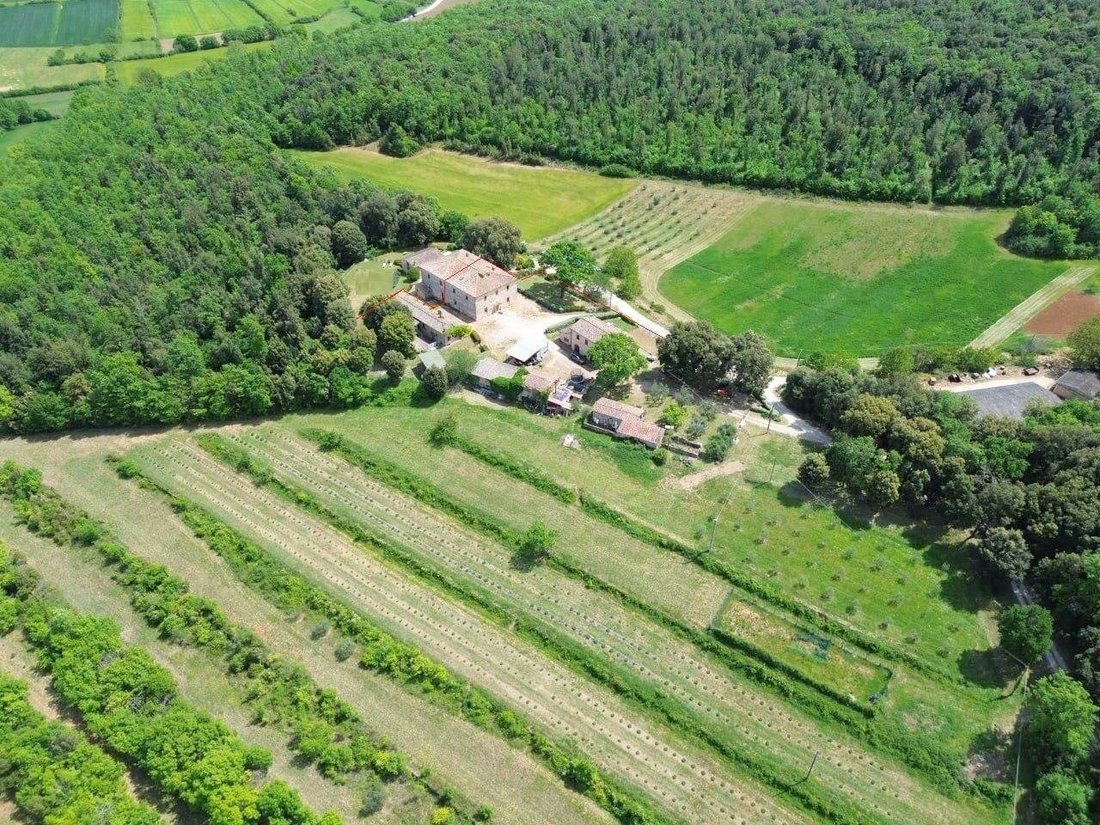 Farm Ranch in Monteriggioni, Tuscany, Italy 1 - 18087181