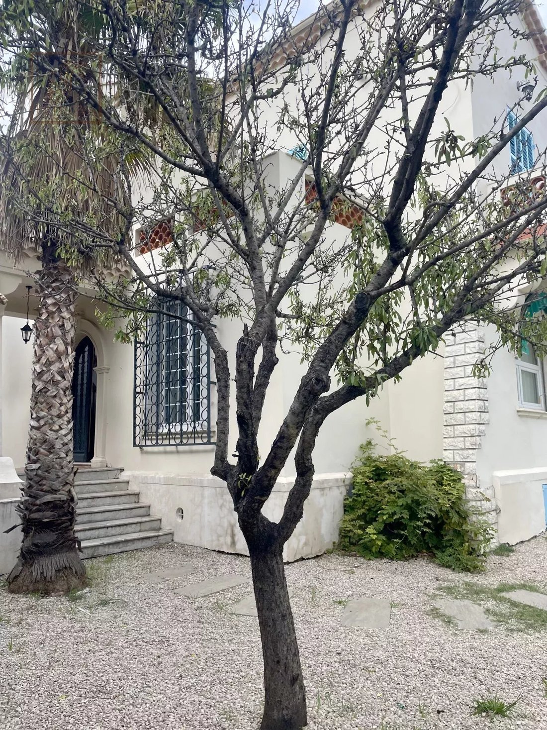 House in Collettes Bréguières-Sud, Cagnes-sur-Mer, France 5 - 18272007