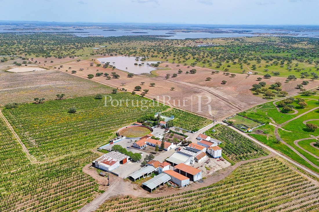 Estate in Amieira e Alqueva, Évora District, Portugal 4 - 18271924