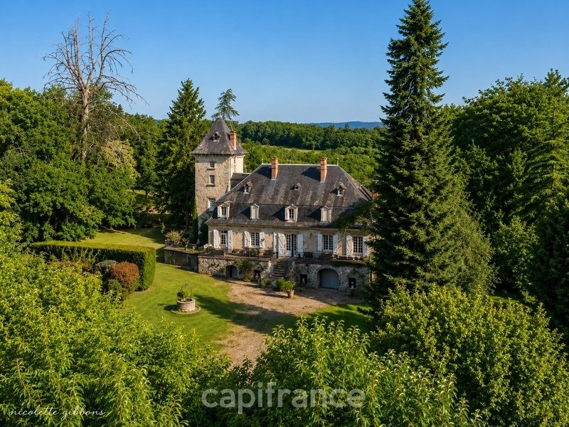 Château à Curemonte, Nouvelle-Aquitaine, France 1 - 18201455