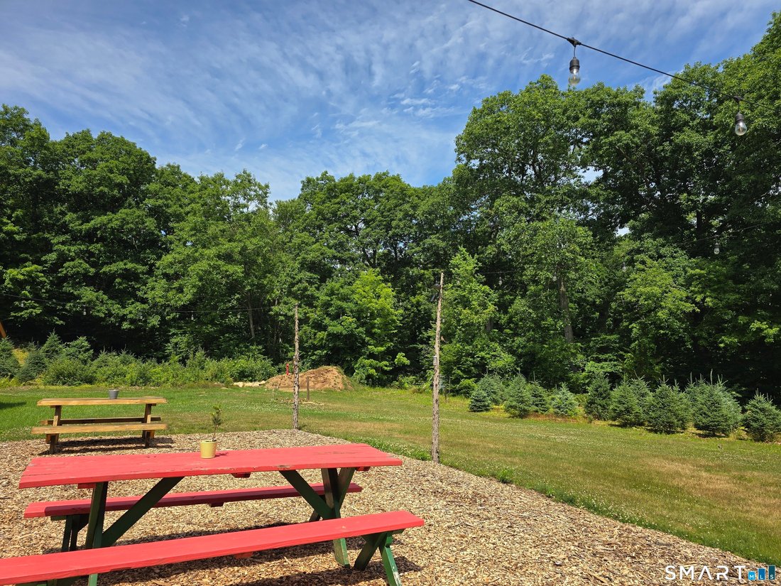Land in Andover, Connecticut, United States 4 - 18275328