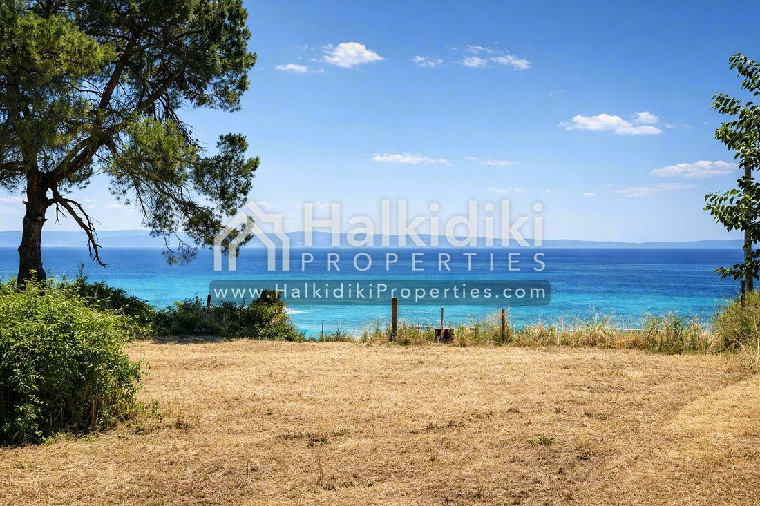 Land in Sithonia, Macedonia and Thrace, Greece 1 - 18203296