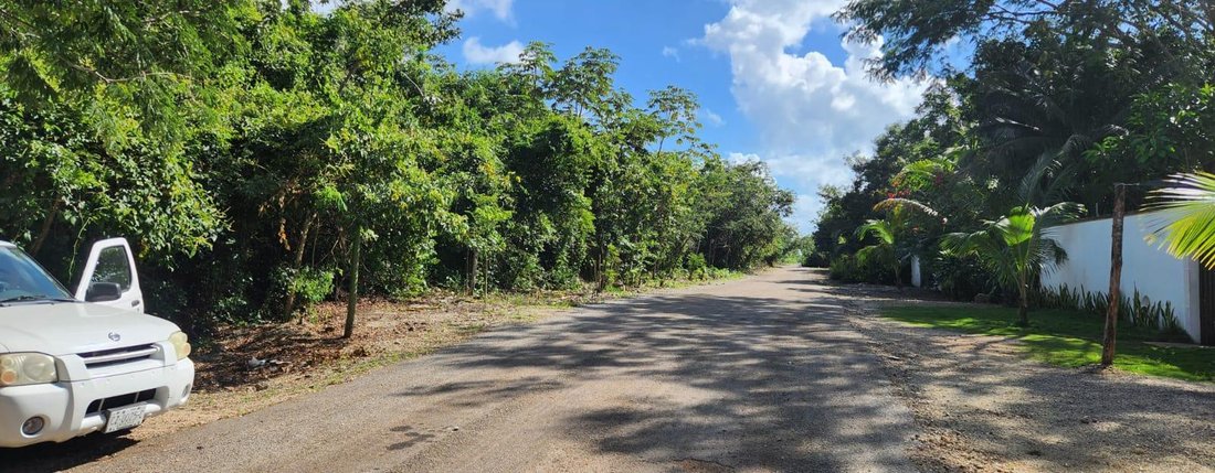 Land in Leona Vicario, Quintana Roo, Mexico 2 - 18272332
