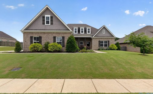 House in Madison, Alabama, United States 1