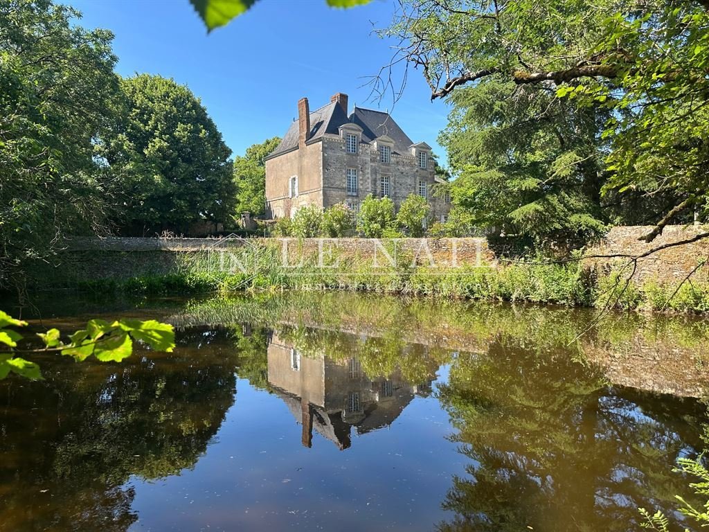 Domaine à Le Loroux-Bottereau, Pays de la Loire, France 2 - 18275593