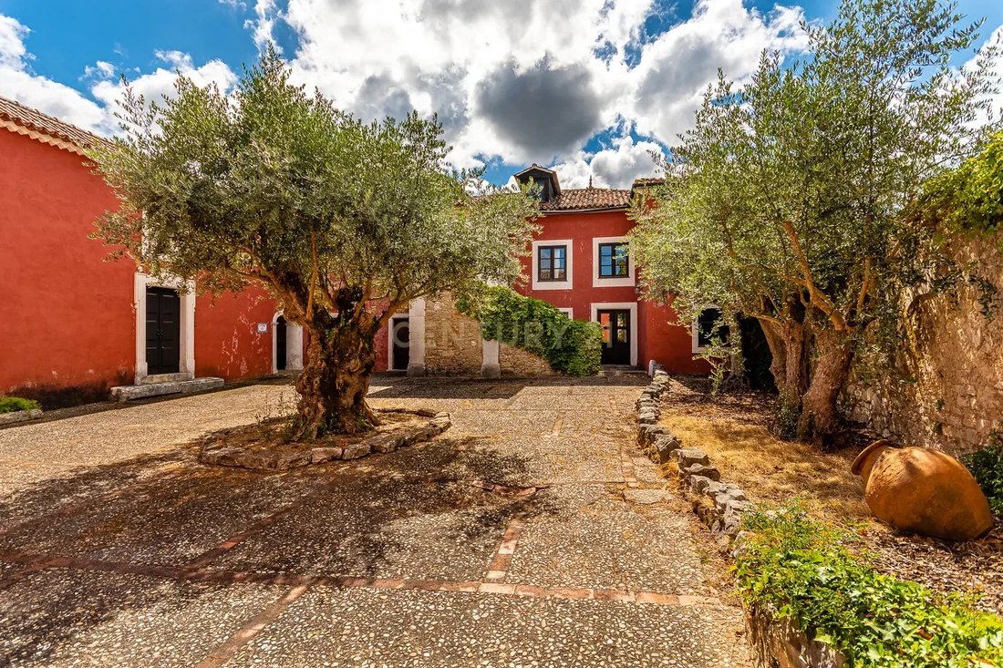 Farm Ranch in Gondemaria e Olival, Santarem District, Portugal 2 - 18275429