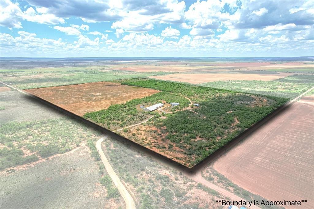 Farm Ranch in Trent, Texas, United States 1 - 18160344
