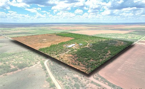 Farm Ranch in Trent, Texas, United States 1