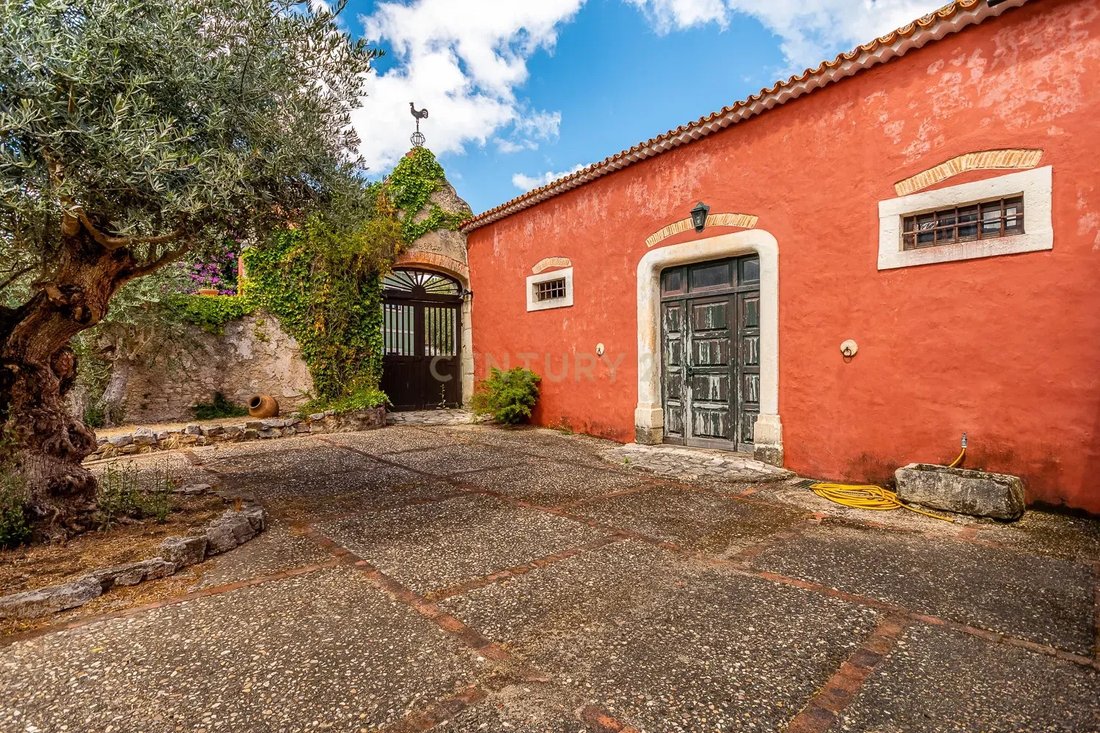 Farm Ranch in Gondemaria e Olival, Santarem District, Portugal 3 - 18275429