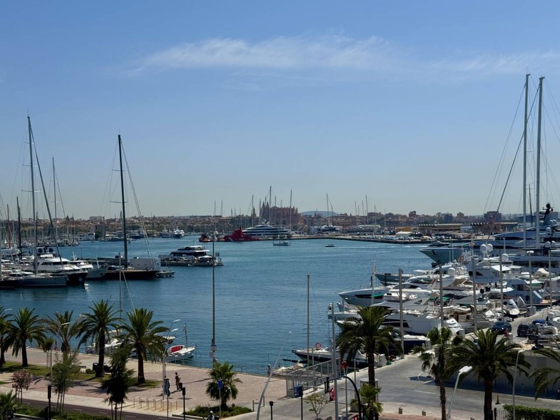 Apartment in Palma, Balearic Islands, Spain 1 - 18275536