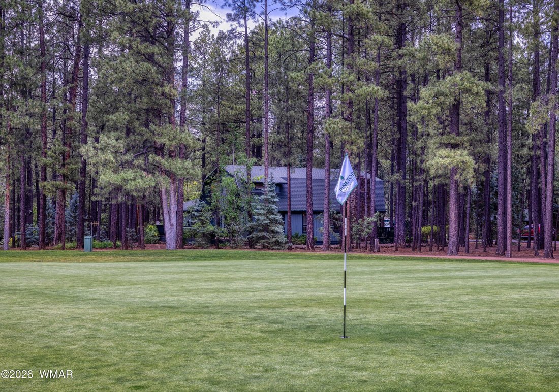 Pinetop, Arizona, United States 2 - 18273601