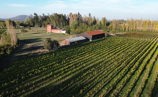 Peralillo, O'Higgins, Chile 1