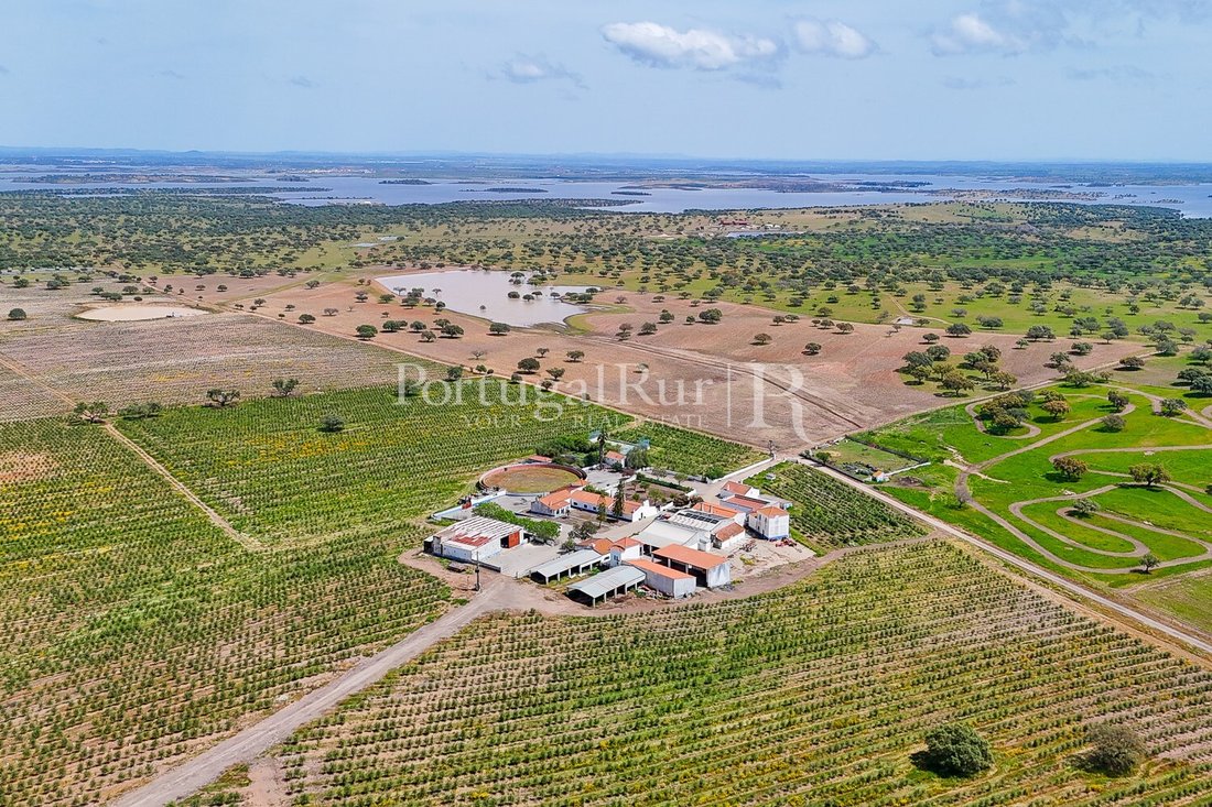 Estate in Amieira e Alqueva, Évora District, Portugal 1 - 18271924