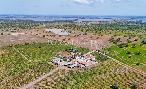 Tenuta a Amieira e Alqueva, Distretto di Évora, Portogallo 1