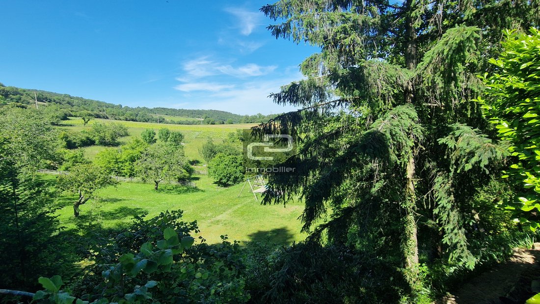 Estate in Poleymieux-au-Mont-d'Or, Auvergne-Rhône-Alpes, France 4 - 18274011