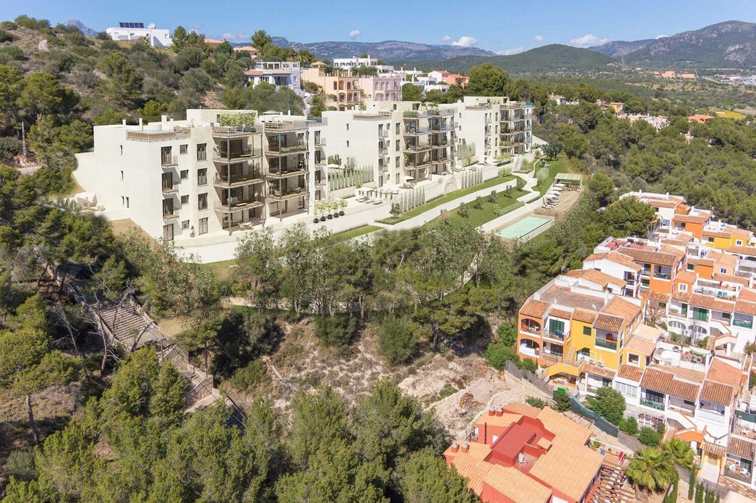 Apartment in Rotes Velles, Calvia, Balearic Islands 2 - 18271634