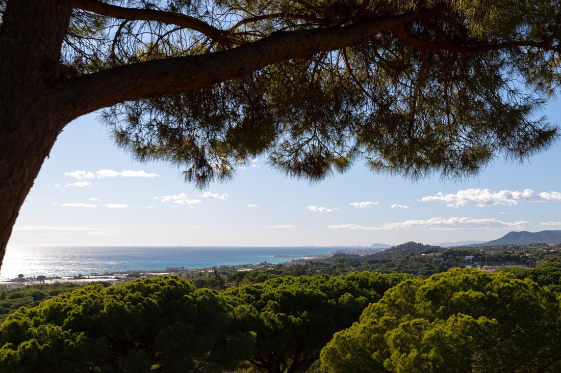 Finca in Sant Vicenc de Montalt, Catalonia, Spain 5 - 18272855
